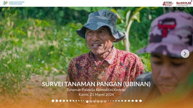 Survei Tanaman Pangan (Ubinan)