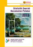 Statistik Daerah Kecamatan Pelabai 2015