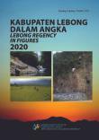 Lebong Regency in Figures 2020